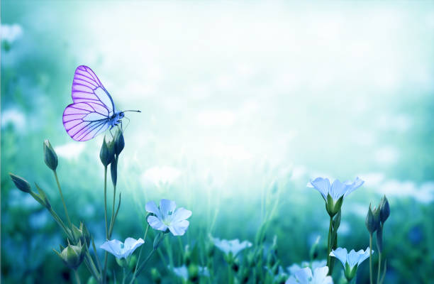 Embracing Change
