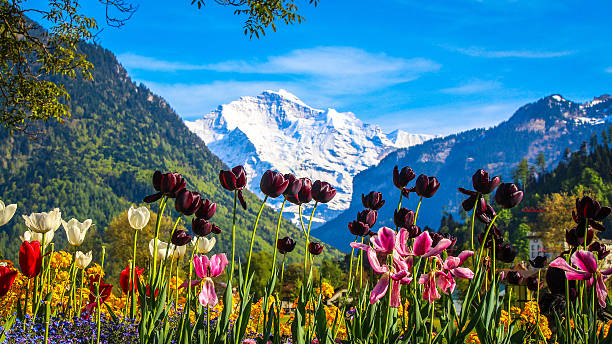 Spring Is An Awakening